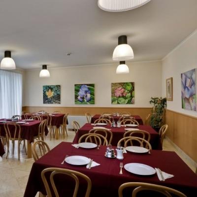 Hotel Jagelló Business