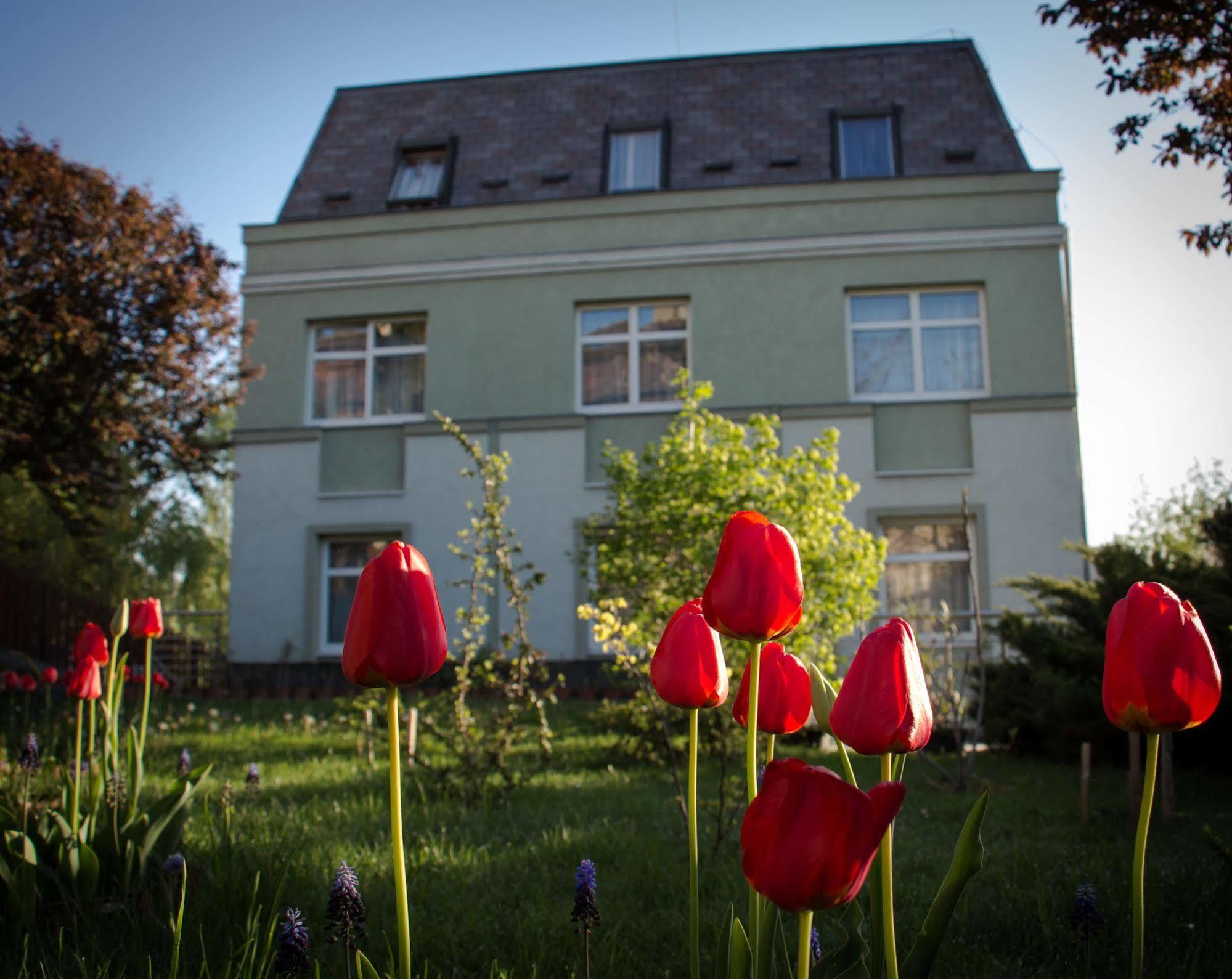 Szálloda Jagelló Business 3*